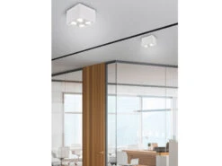 Trio Leuchten Eckiger Deckenstrahler BISCUIT Mit Zwei Schwenkbaren GU10 Spots, Weiß Matt -Lamp Geschaft eckiger deckenstrahler biscuit mit zwei schwenkbar 3