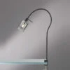 Fischer & Honsel Klemmlampe ISKA Schwarz Mit Rauchglas - Leselampe Mit Schwanenhals