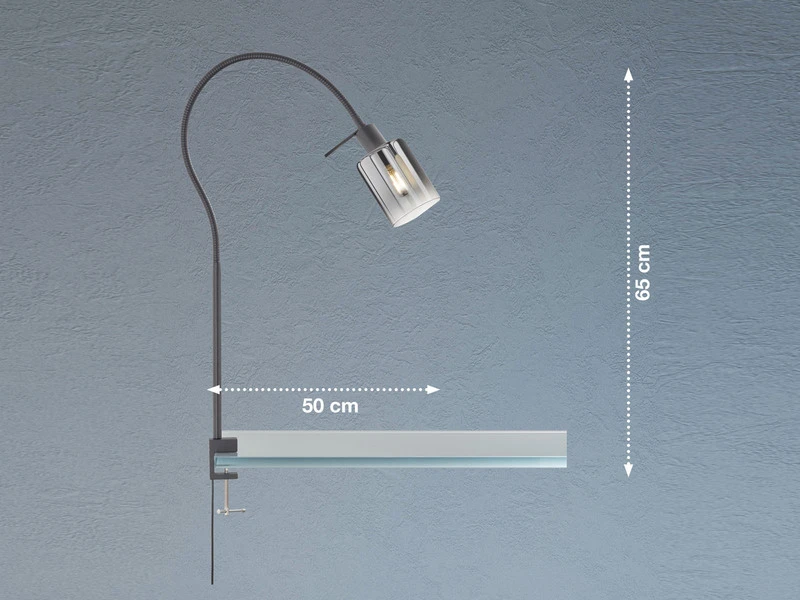 Fischer & Honsel Klemmlampe ISKA Schwarz Mit Rauchglas - Leselampe Mit Schwanenhals 3 Fischer & Honsel Klemmlampe ISKA Schwarz Mit Rauchglas - Leselampe Mit Schwanenhals – Bild 3
