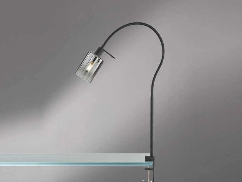 Fischer & Honsel Klemmlampe ISKA Schwarz Mit Rauchglas - Leselampe Mit Schwanenhals 1 Fischer & Honsel Klemmlampe ISKA Schwarz Mit Rauchglas - Leselampe Mit Schwanenhals