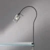 MeineWunschleuchte LED Klemmlampe Schwarz Mit Rauchglas - Leselampe Mit Schwanenhals