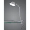 Reality Leuchten LED Klemmleuchte BERRY Flexarm, Kunststoff Titanfarben, Höhe 26cm