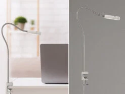 Fischer & Honsel LED Klemmleuchte RAIK Dimmbar, Schwanenhals Leselampe