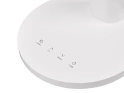 Reality Leuchten LED Schreibtischleuchte SALLY Flexibel TOUCH Dimmer Weiß 36cm -Lamp Geschaft led schreibtischleuchte sally flexibel touch dimme 7