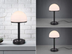 Trio Leuchten LED Tischleuchte 2er Set Schwarz Mit Glas Lampenschirm Dimmbar